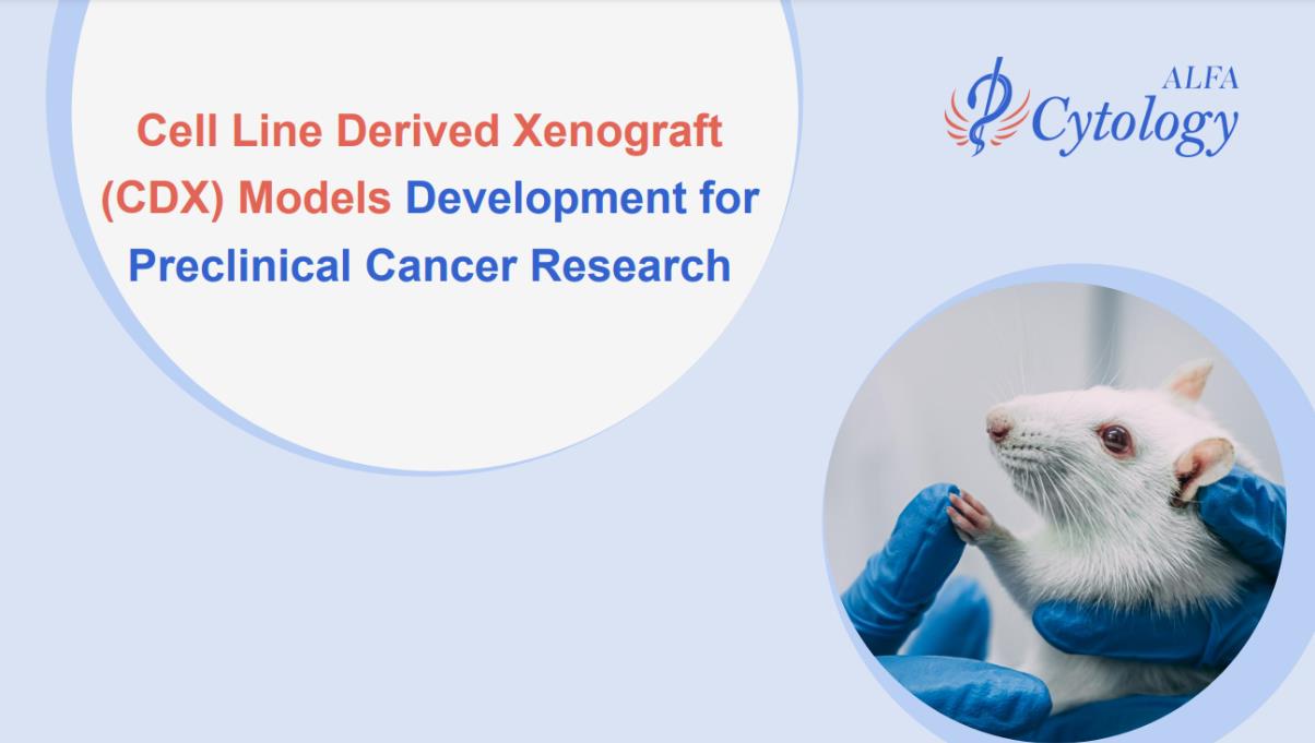 Cell Line Derived Xenograft (CDX) Models Development for Preclinical Cancer Research