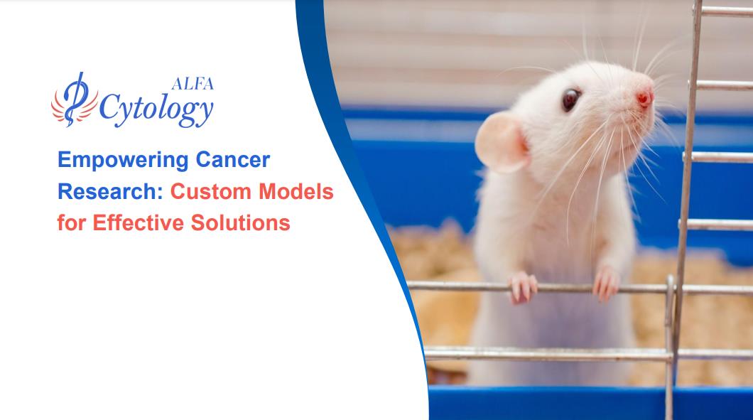 Cell Line Derived Xenograft (CDX) Models Development for Preclinical Cancer Research