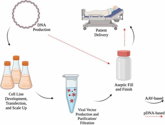 DNA-based therapies.