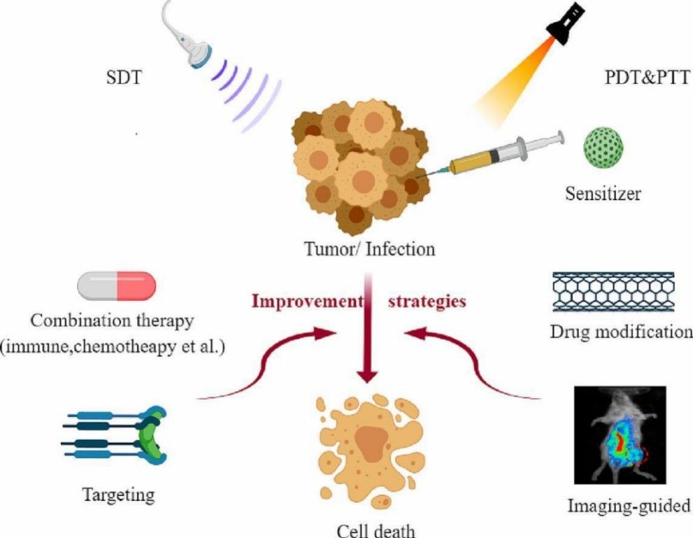 Fig.1 Dynamic therapy for cancer. (Hu, H., et al., 2023)