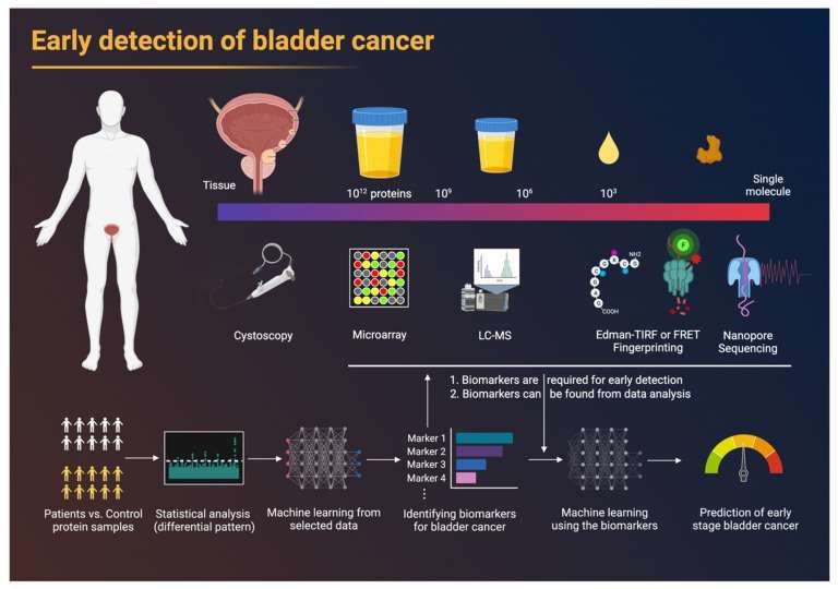 Fig.1 Development of proteomic tools for the early detection of bladder cancer.