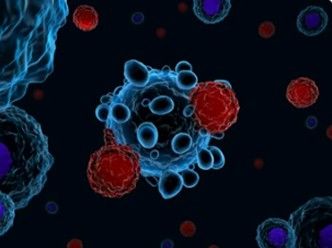 Single-Cell Immunome Sequencing