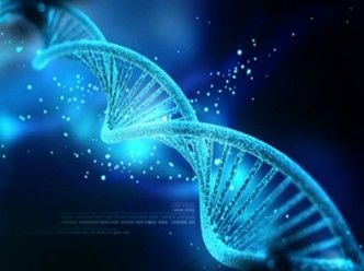 Single-Cell Genome Sequencing