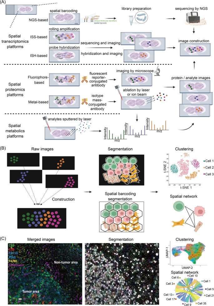Fig.1 Schematics of the spatial multi-omics technologies and analysis workflow.