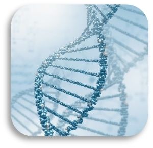 Spatial Transcriptomics