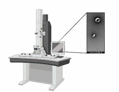 Exosome Identification