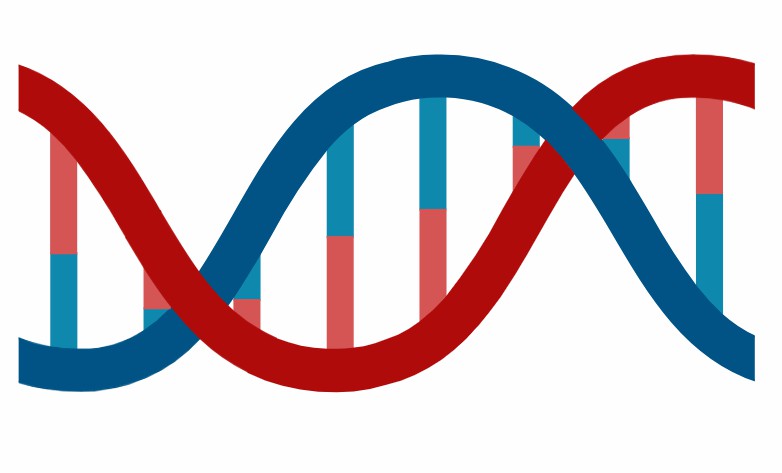 Analytical Services of CTCs.