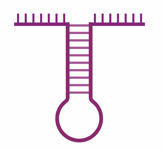 Analytical Services of CTCs.