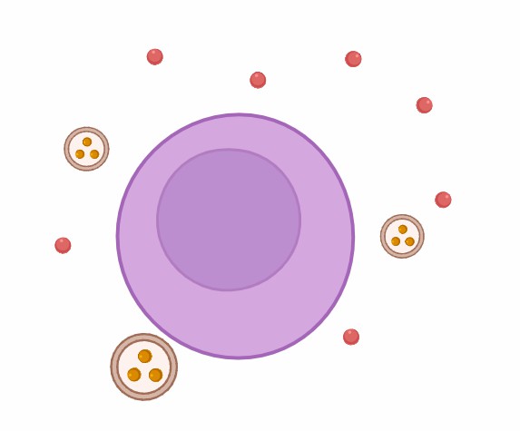 Analytical Services of CTCs.