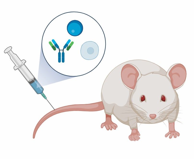  Fig 3. Evaluation of Therapeutic Interventions.