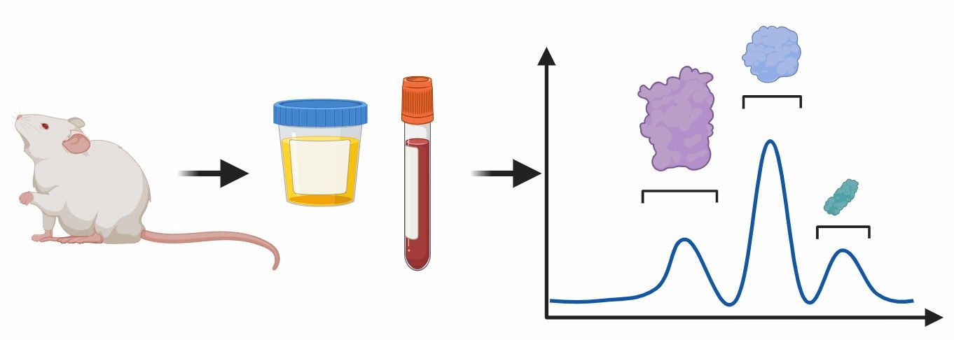  Fig 4. Identification of Biomarkers.
