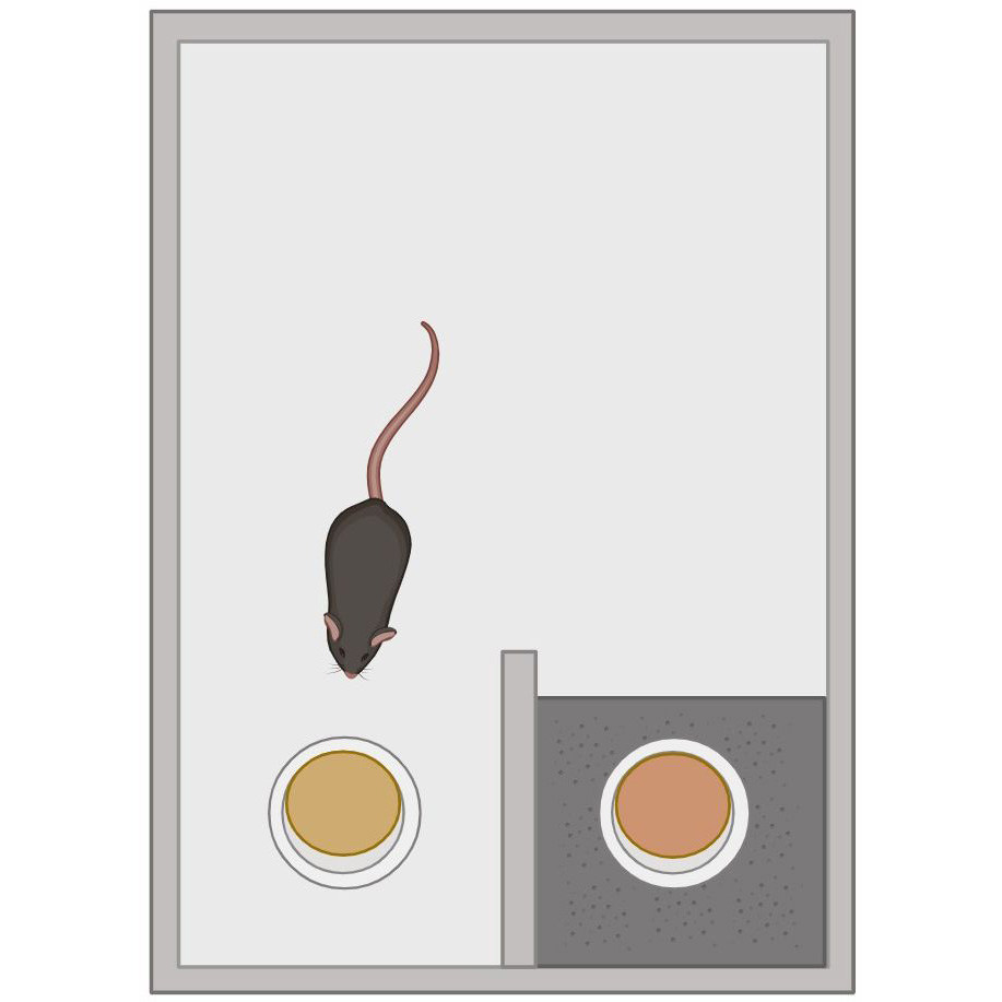  Fig 2. Model Selection.