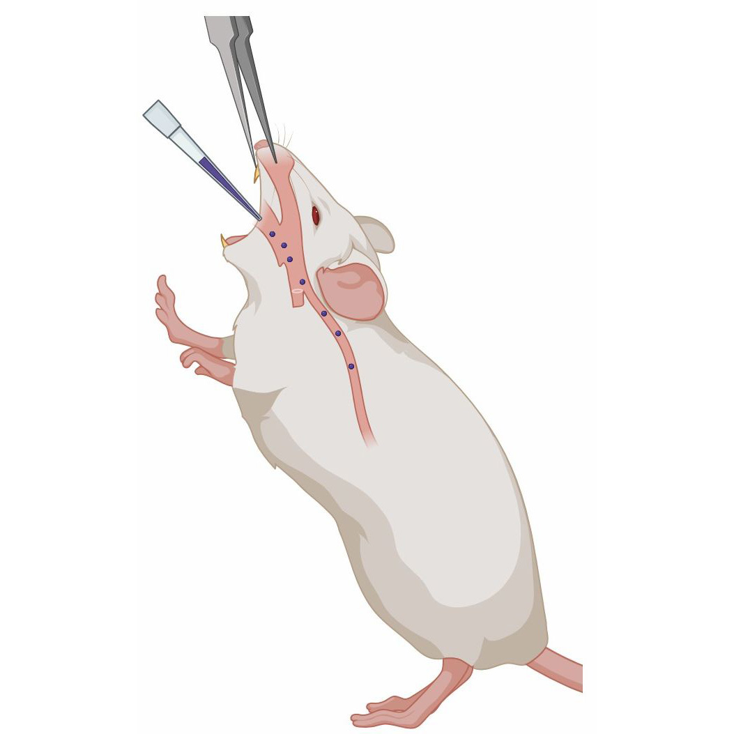  Fig 2. Model Selection.