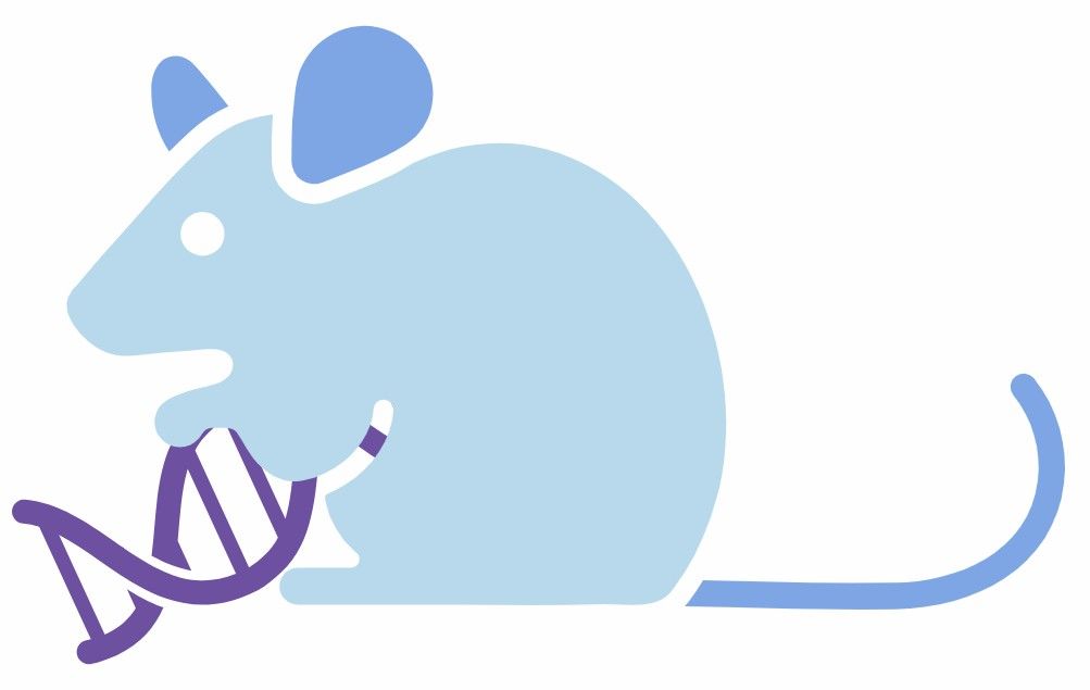 fig.4 genetically engineered model development service