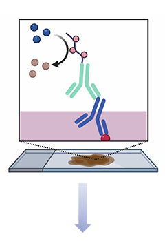 fig.3 model characterization.
