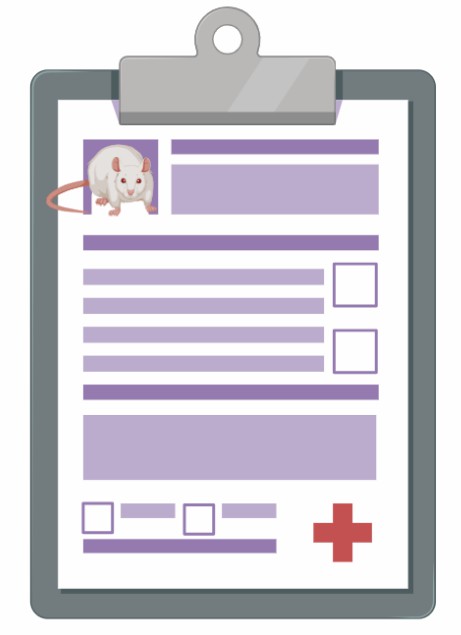 fig.4 delivery of results.