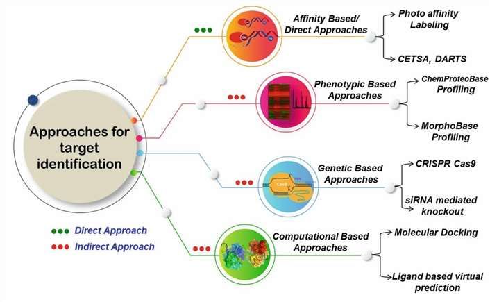 Fig 1. Approaches for target identification.