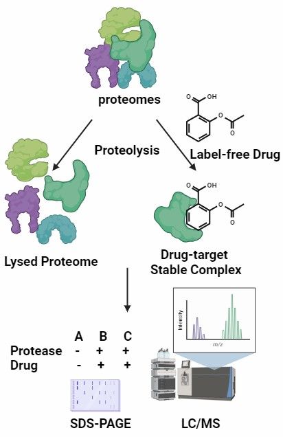 Affinity-based Approaches