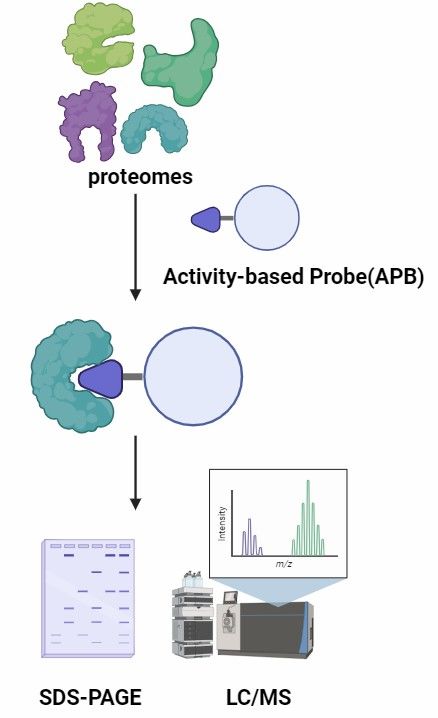 Phenotype-Based Methods
