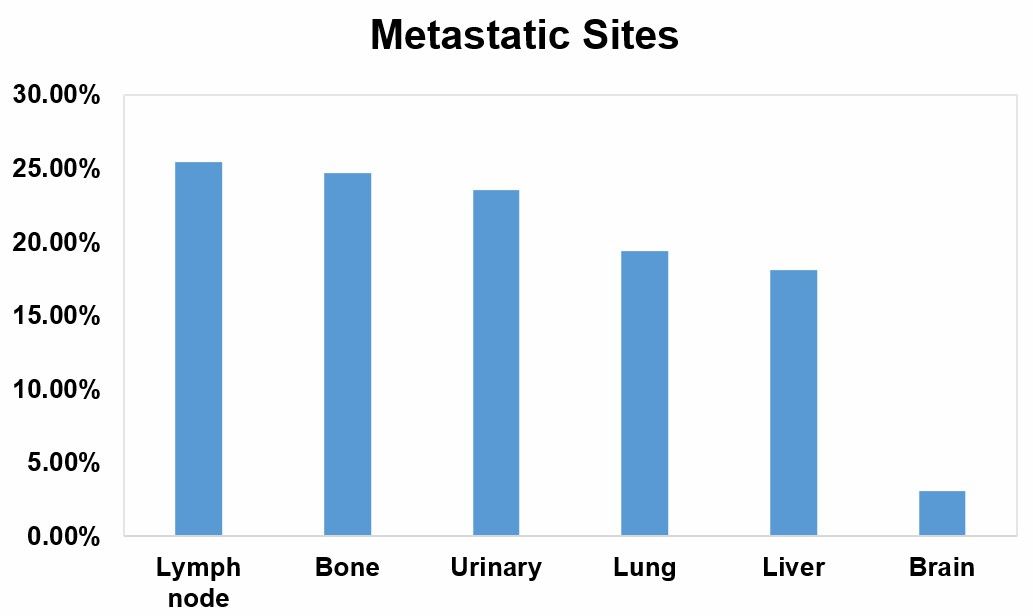 Fig 1. The distribution of metastatic sites in patients with bladder cancer.