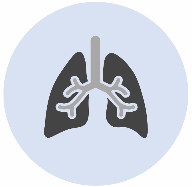 Fig 3. Mechanism Study Service for Lung Metastatic Bladder Cancer.