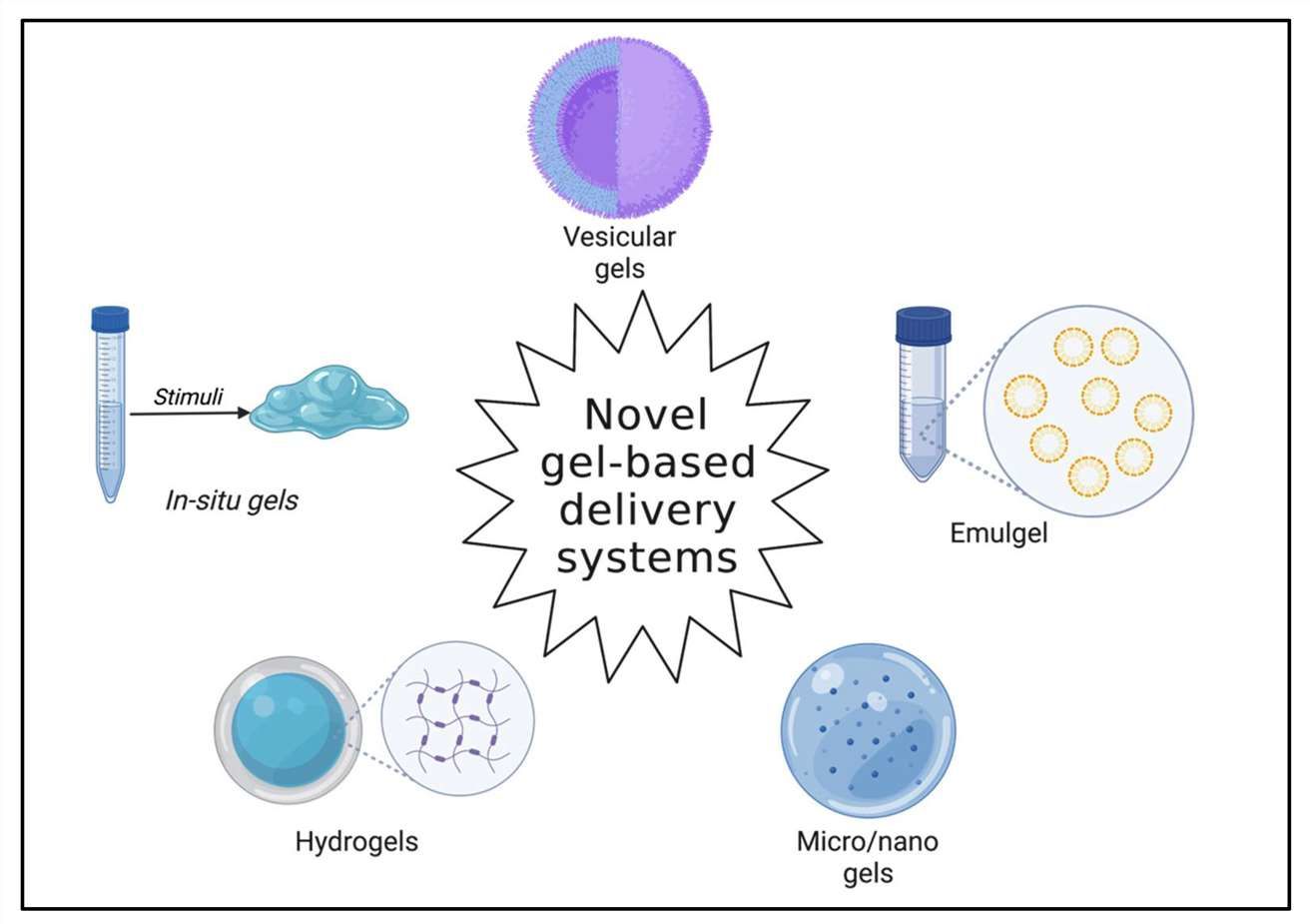 Fig 1. Common novel gel-based delivery systems.