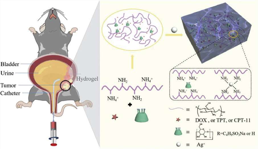 Fig 1. Common novel gel-based delivery systems.