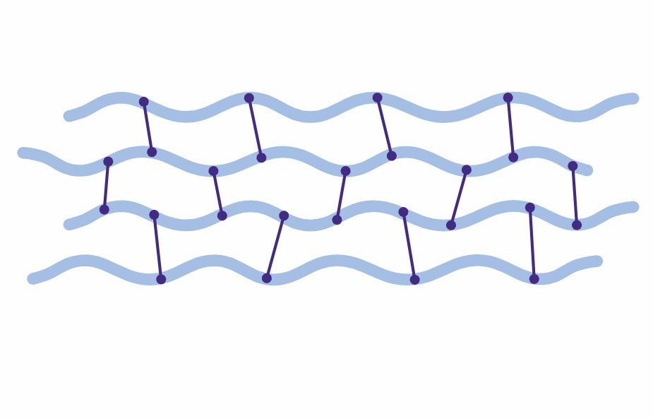Development of Chitosan Derivatives