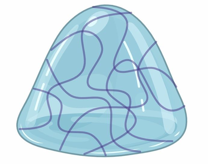 Development of Chitosan Derivatives