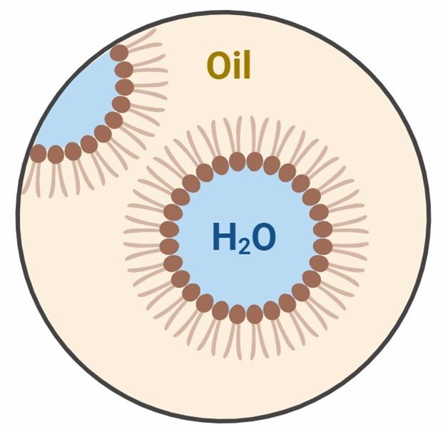 Fig 3. Development of Water-in-Oil (W/O) Microemulsion.