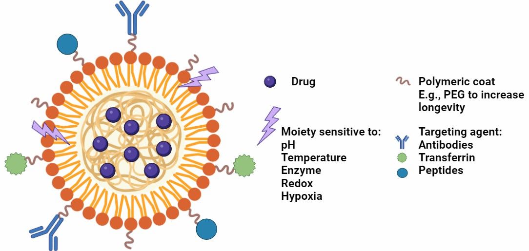 Fig 1. Novel polymeric micelles drug delivery systems.