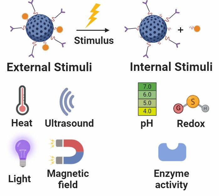 Fig 4. Development of Stimulus Responsive MSNP-Based DDS