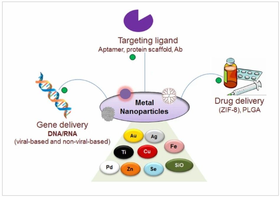 Fig 1. Metal-based nanoparticles in drug delivery. (Sharma A. R. et al. 2022)