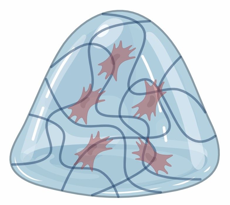 Fig 3. Gel-Based DDS.