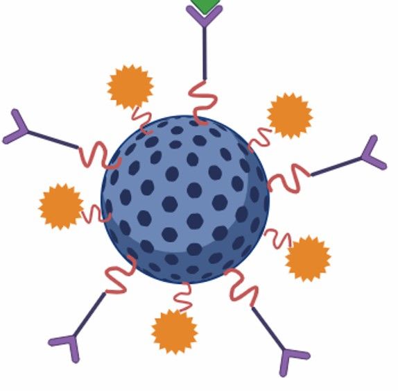 Fig 7. MSNP-Based DDS