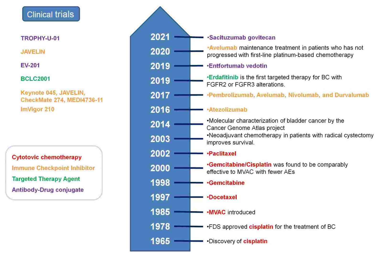 Fig 1. Timeline of BC clinical trials and approval. (Bilim V., et al. 2022)