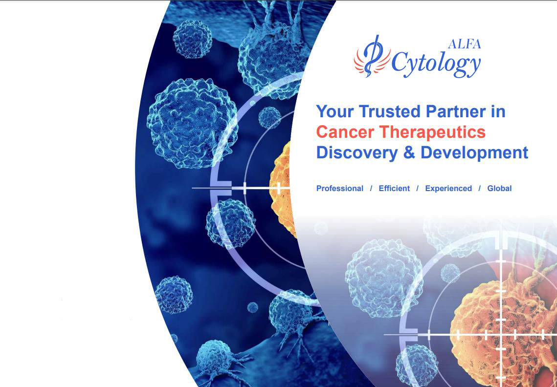 Your Trusted Partner in Cancer Therapeutics Discovery & Development