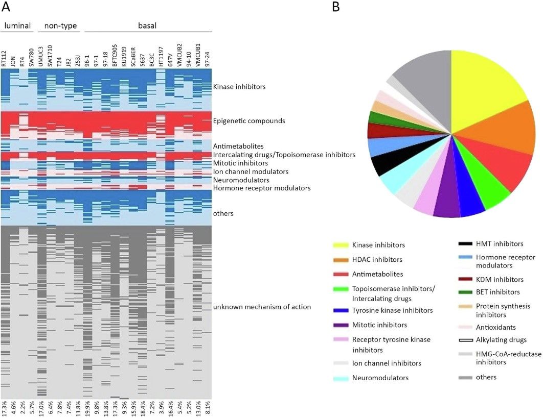 Fig.1 Chemical compounds with antineoplastic effects against bladder cancer identified by drug 